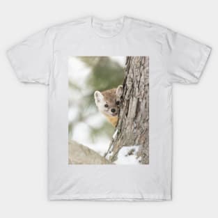 Pine Marten T-Shirt